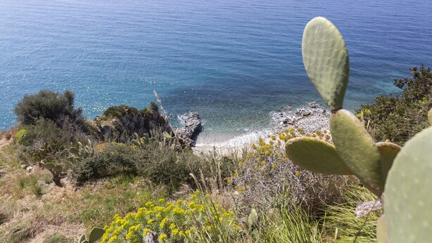 Paisaje costero con un cactus en primer plano, terreno rocoso y el mar al fondo.