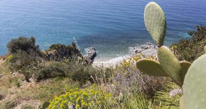 Ville Pini e Aurelia