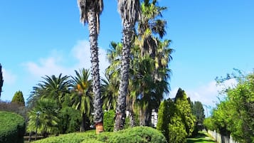 Villa, 4 Bedrooms (Villa Eleonora piano terra) | Garden view
