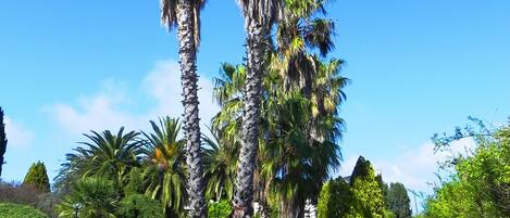 Vila, 4 quartos (Villa Eleonora piano terra) | Vista para o jardim