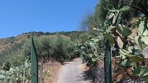 Un sendero de grava bordeado por cactus y una pared de piedra, que conduce a un portón.