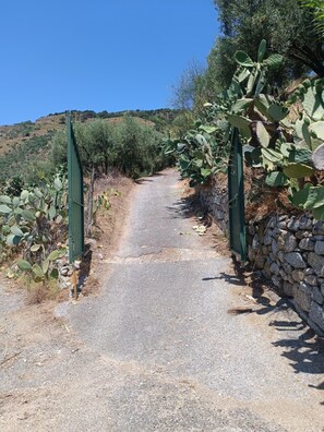 Panoramic Villa, 2 Bedrooms, Sea View (Villa Gemma) | Property grounds