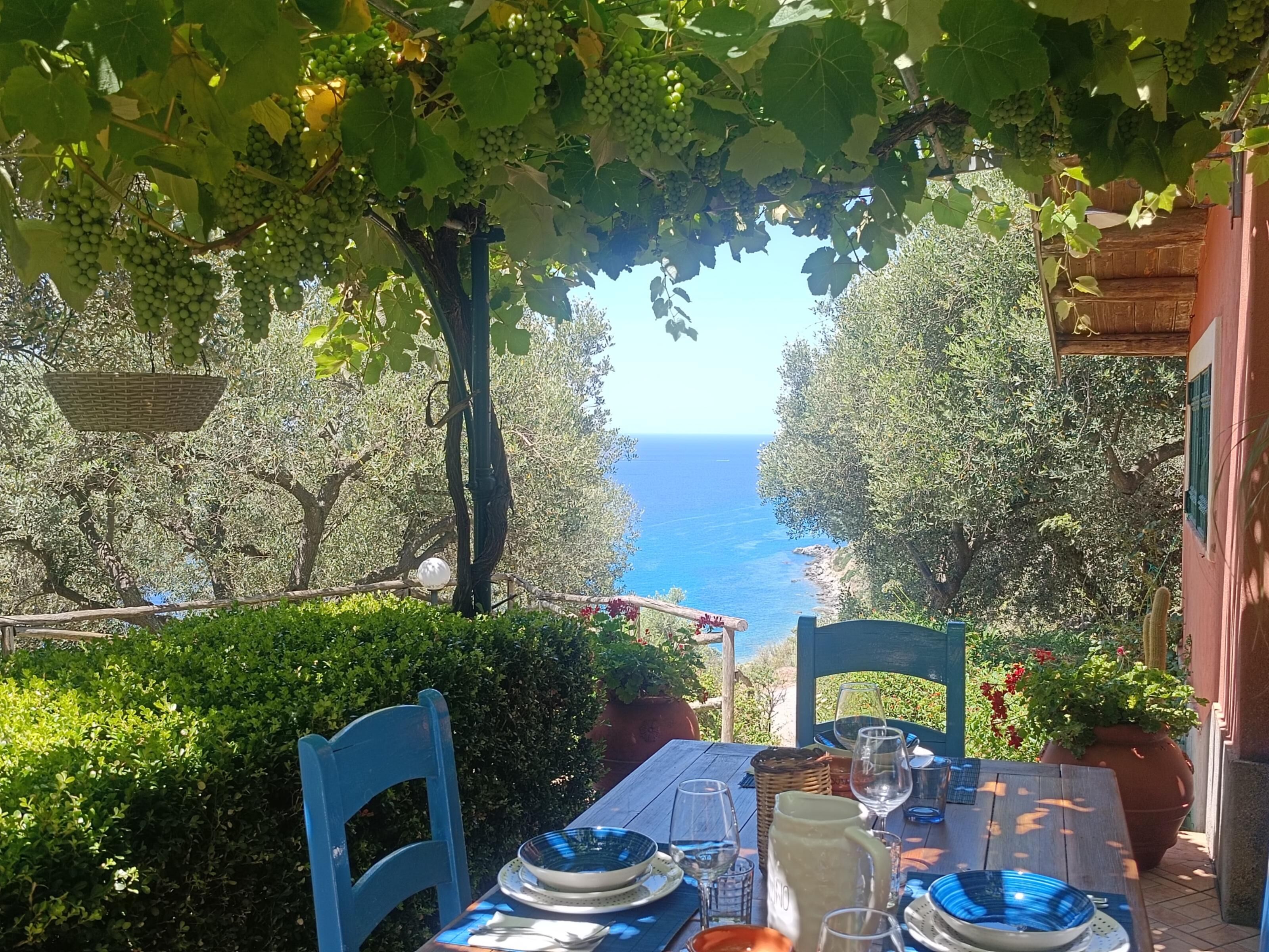 Villa Panoramique, 2 chambres, vue mer (Villa Gemma) | Restauration extérieure