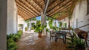 A covered patio with a wooden ceiling, potted plants, and a table with chairs. - Los Pozos de  la Nieve Apartment Luna Rural Apartments, province of Sevilla (Constantina,)