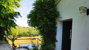 Une cour avec un palmier en pot, un mur de pierre et un bâtiment blanc doté d’une porte.