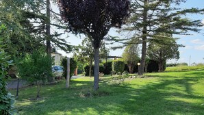 A grassy outdoor area with trees and a pathway leading to a building. - Vacation House Rita in green Umbria (Gubbio)