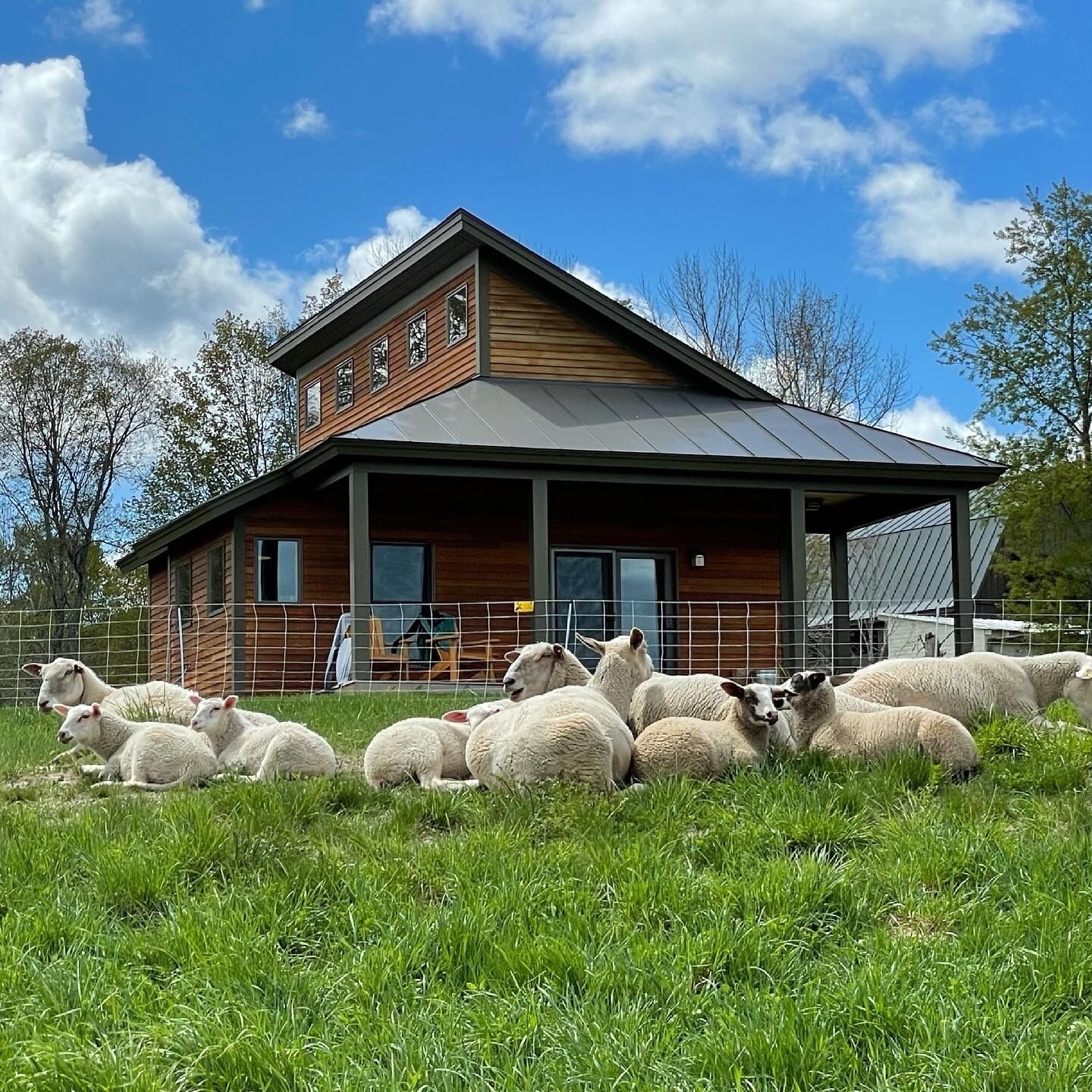 Experience life on a Vermont Farm in a Beautiful Modern Cabin - Stunning Views!