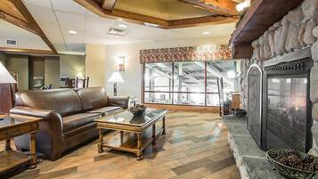 TV, fireplace, video games, DVD player