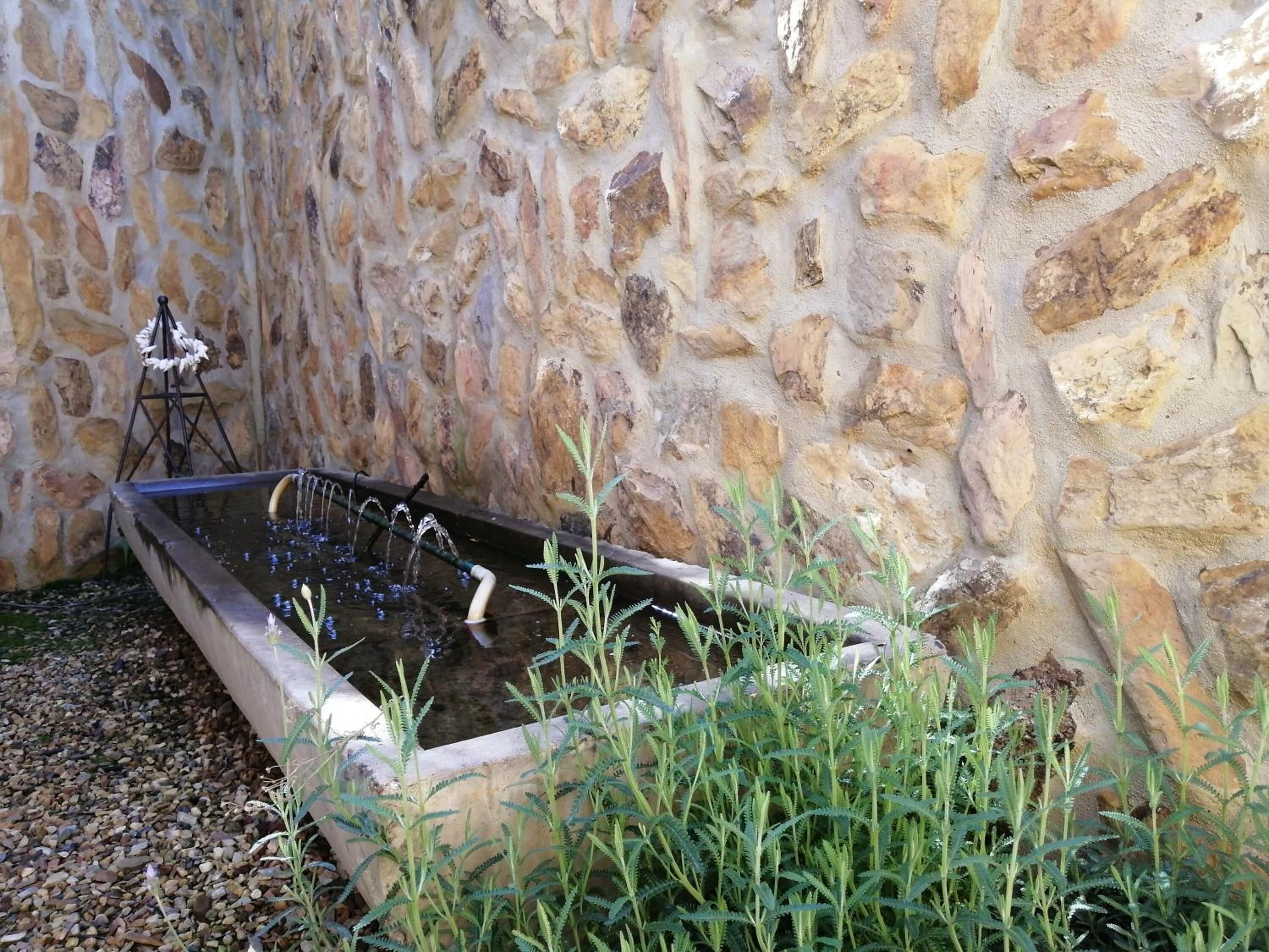 A stone wall, a small pond with a fountain, and some greenery.
