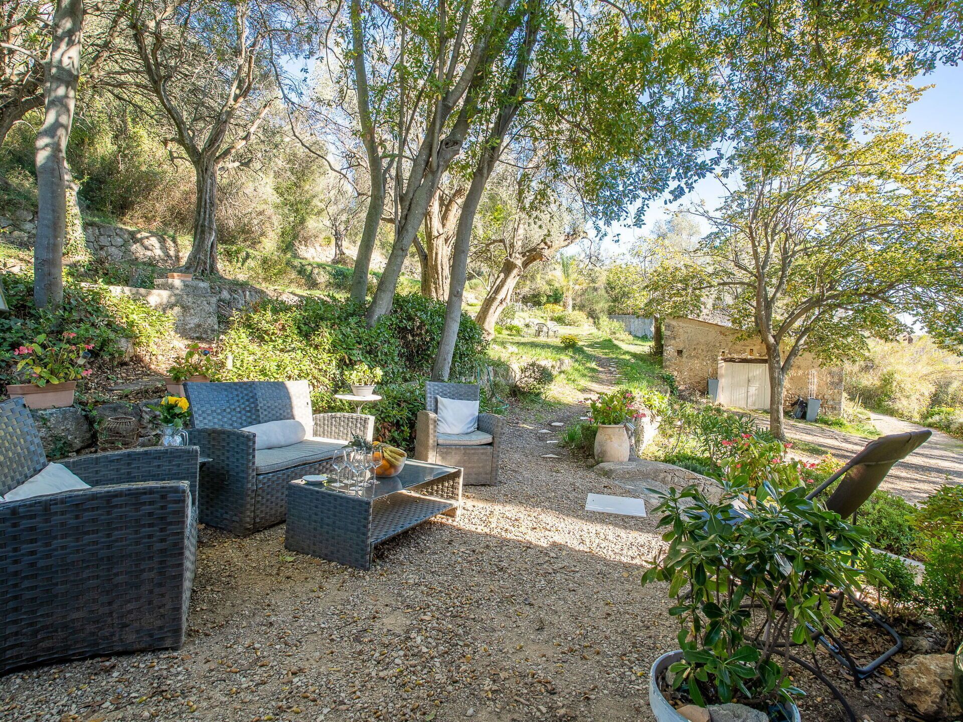 Un patio jardín con mobiliario de mimbre, una pequeña mesa y plantas en macetas.