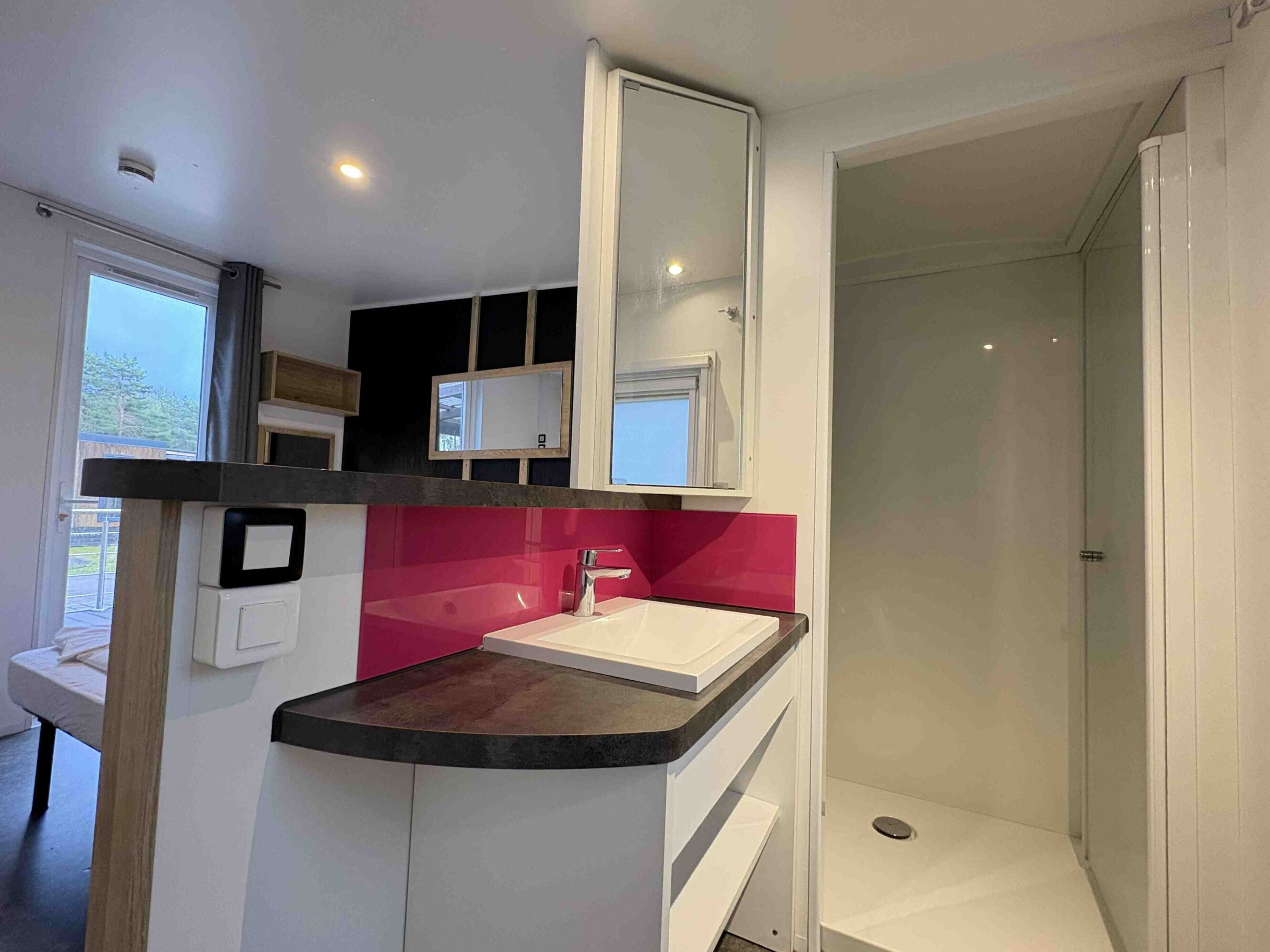 A modern bathroom with a vanity, a mirror, a shower, and a window.
