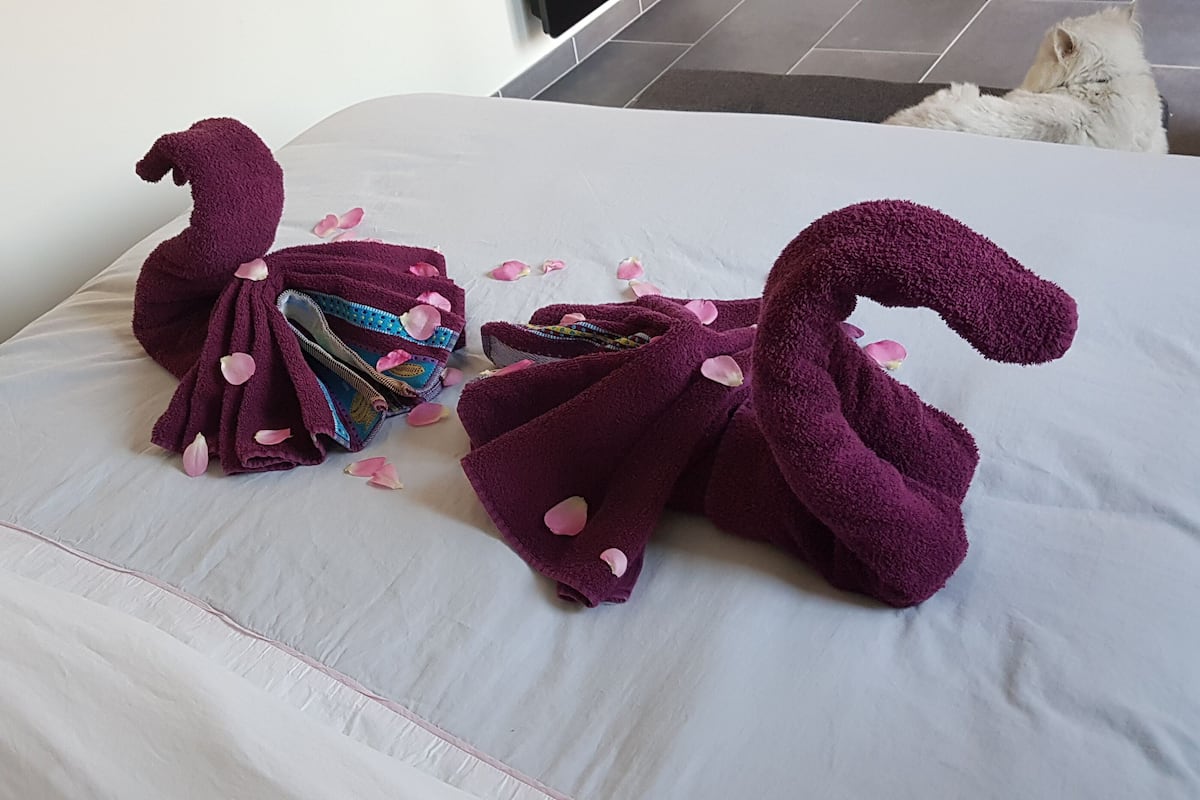 Ein Bett mit weißer Bettdecke und zwei lilafarbenen Handtüchern, geformt wie Schwäne, verziert mit rosa Blütenblättern.