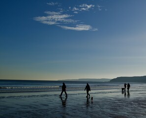 Escena de playa con gente caminando y un perro.