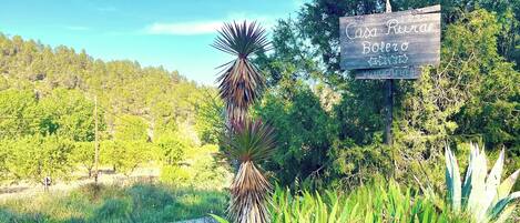 Áreas de la propiedad