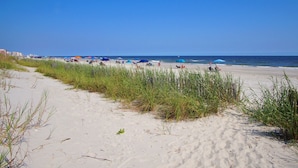 A sandy beach with tall grass in the foreground and a clear blue sky.