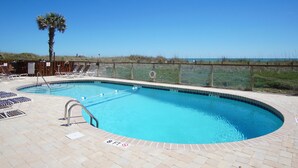 A swimming pool with a palm tree, lounge chairs, and a view of the beach.