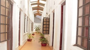 A corridor with wooden flooring, white walls, and multiple windows. There are potted plants along the corridor. - Dover Hotel Bondo (Bondo)
