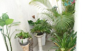 A small indoor garden with various potted plants and a white column. - House on the Sand - 219 (Florianópolis)