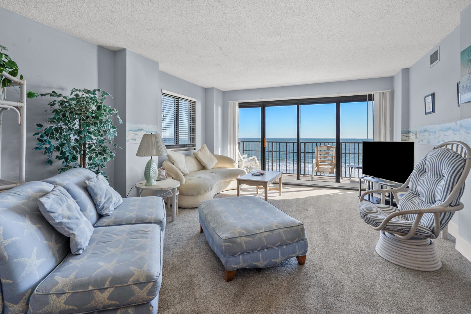 TV, DVD player, books, stereo