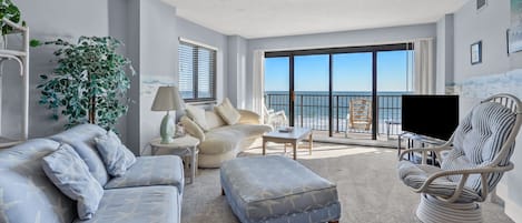 Télévision, lecteur de DVD, livres, chaßne hi-fi