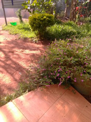 Exterior - Prudence Guest House (Bondo)