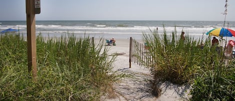Walk along the beach pathway to the ocean, flanked by tall grasses and a signpost.