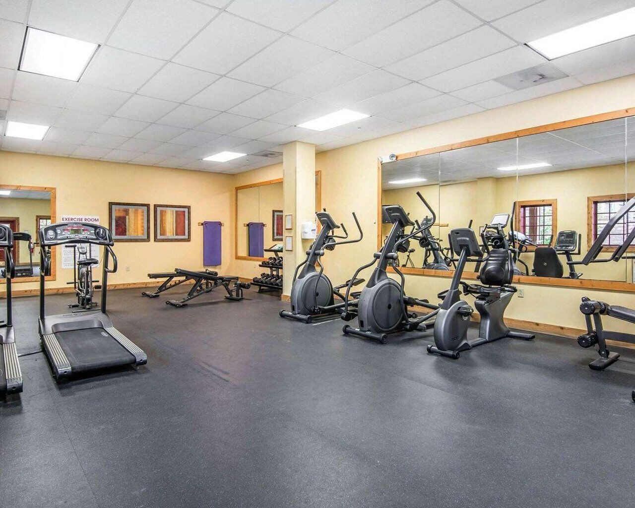 A gym with treadmills, elliptical machines, and weight equipment.