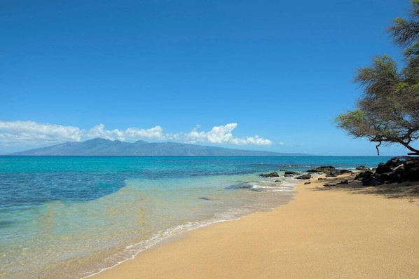 Playa en los alrededores, camastros y toallas de playa