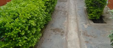 Jardin