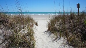A sandy beach path leading to the ocean with tall grasses on either side. - Charming oceanfront condos w/pool, price-friendly in perfect area - North Myrtle Beach rental (North Myrtle Beach)