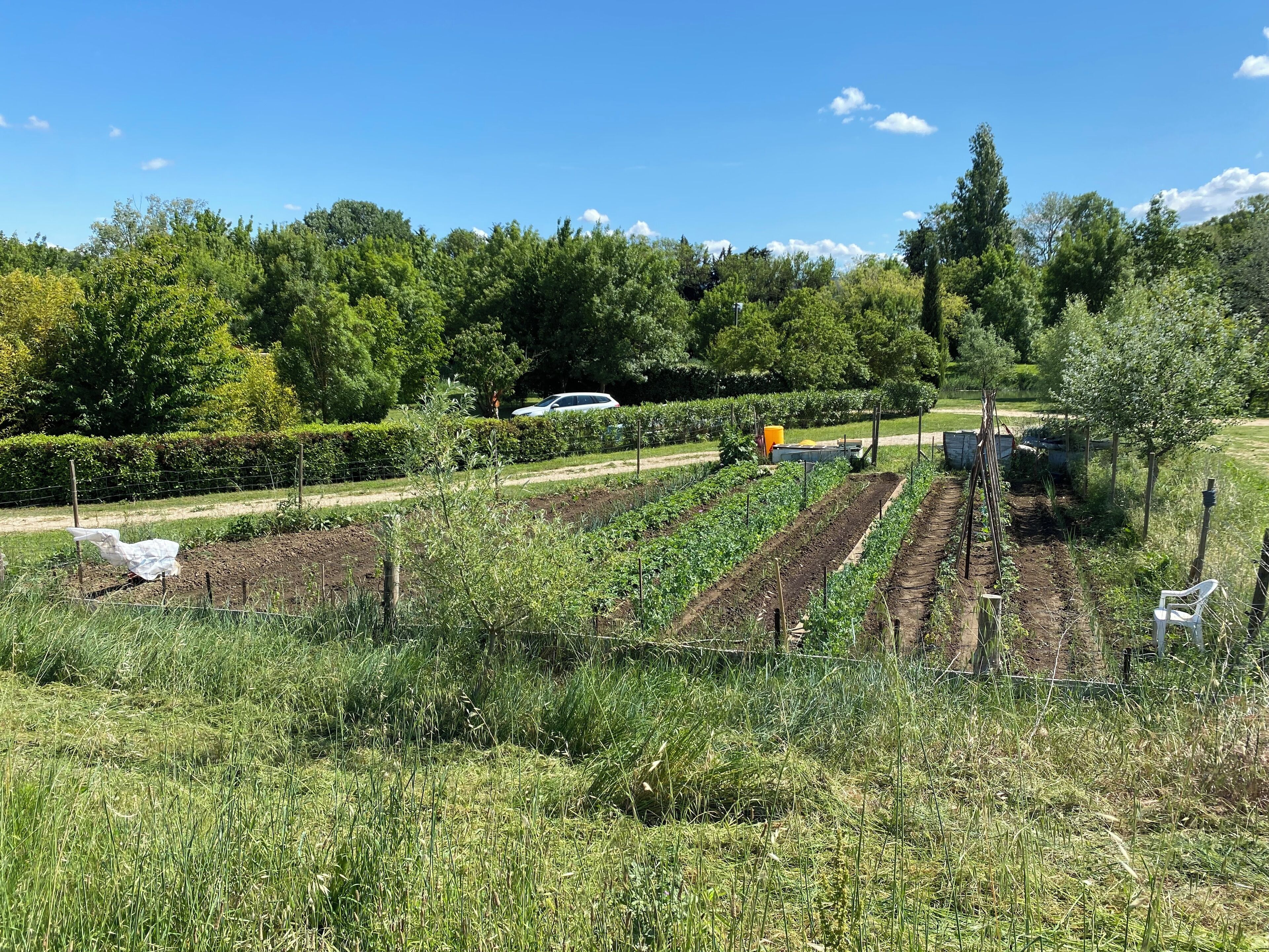 Jardines del alojamiento