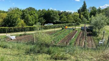 Jardines del alojamiento