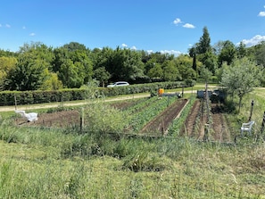 Parco della struttura
