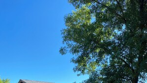 A wooden house with a sloped roof, surrounded by a well-maintained garden with various plants and a gravel path. - Chalet du Moulin des fontaines near the Pont du Gard (Saint-Paul-les-Fonts)