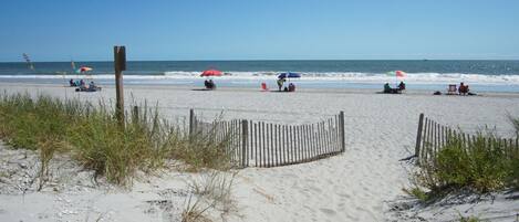 Playa en los alrededores