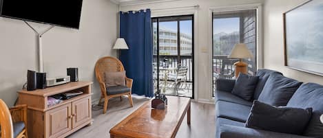 Télévision, lecteur de DVD, chaîne hi-fi