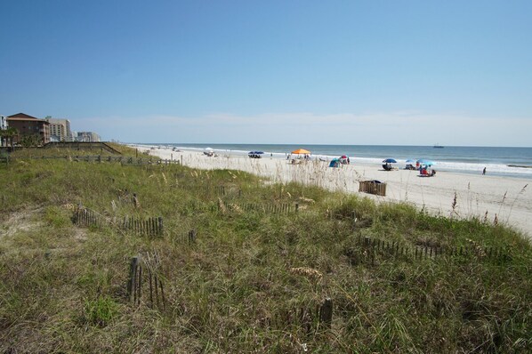 On the beach