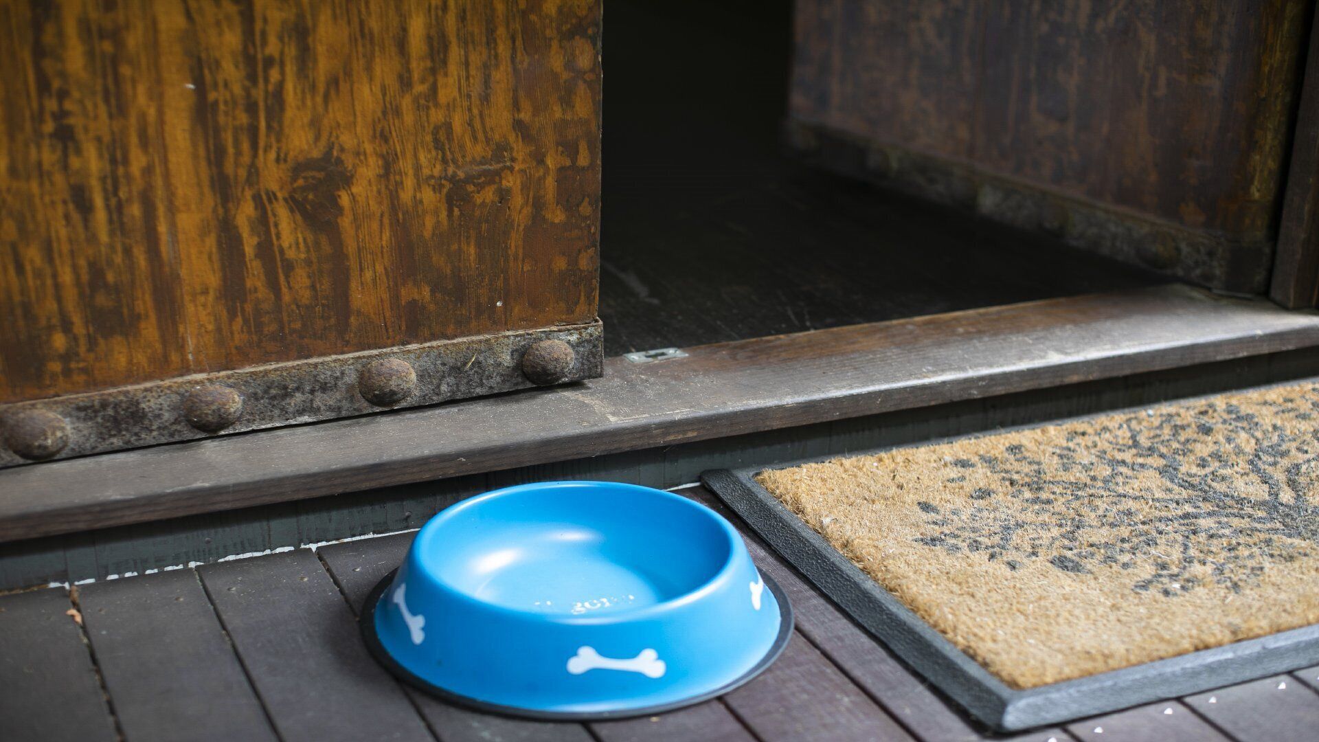 A blue pet bowl on a wooden floor near a door with a doormat.