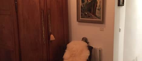 A room with a wooden wardrobe, a fluffy chair, a painting on the wall, and a radiator.