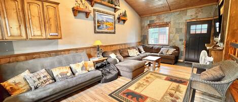 Smart TV, chimenea, reproductor de DVD y libros