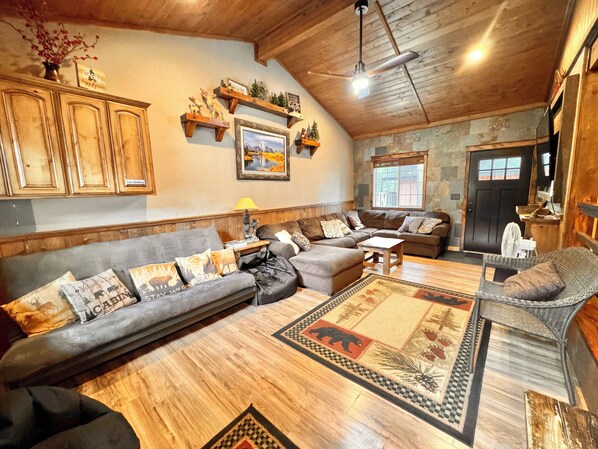 Smart TV, fireplace, DVD player, books