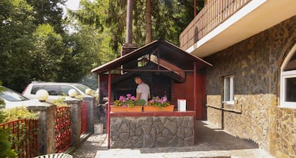 Habitación doble económica, vista a la montaña