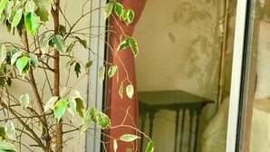 Détail de l’intérieur