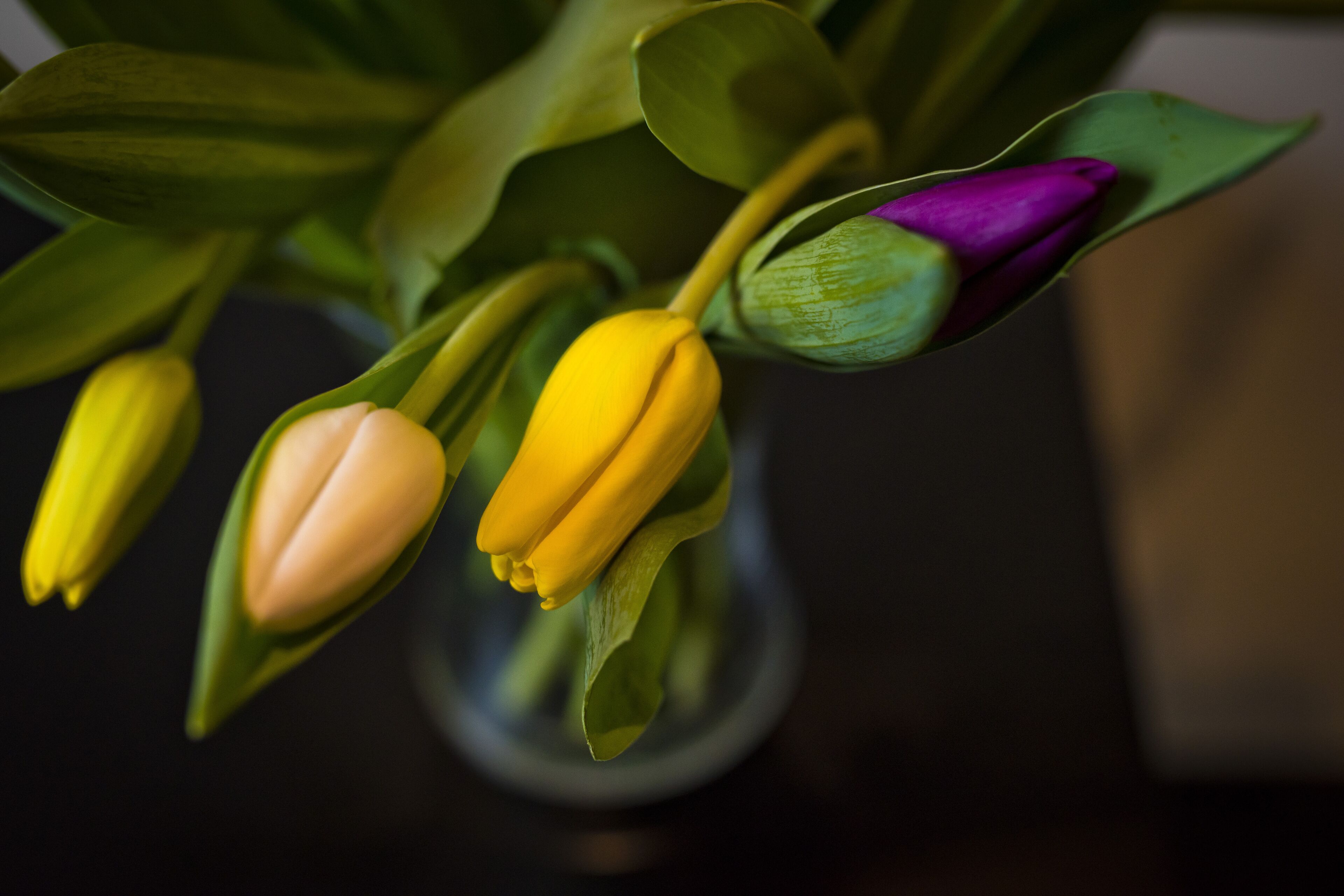 Foto - Bowling Green