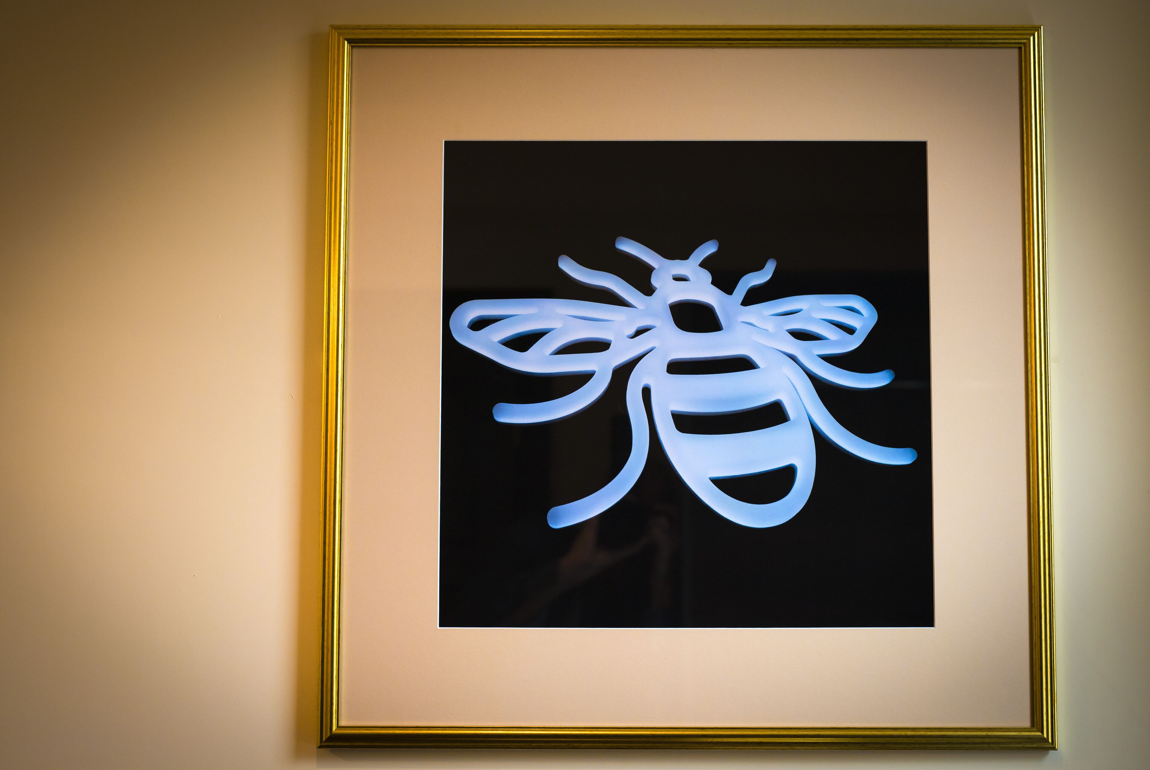 Foto - Bowling Green