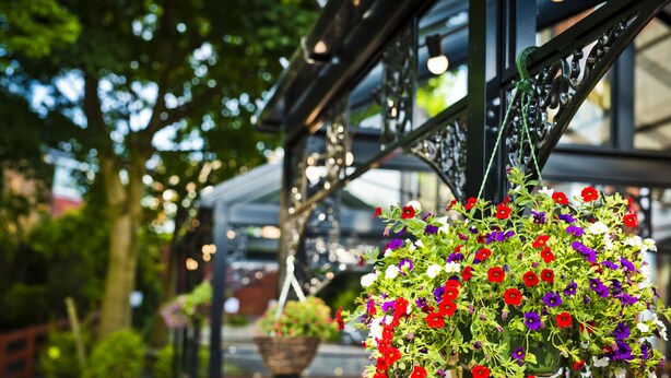 A hanging flower basket with red, purple, and white flowers. - Bowling Green (Manchester)