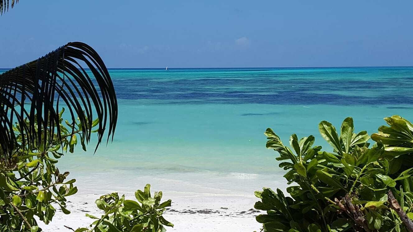 Accommodatie ligt op het strand