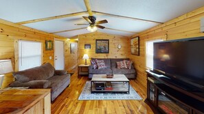 TV connectée, cheminée, lecteur de DVD, livres