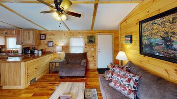 Smart TV, fireplace, DVD player, books