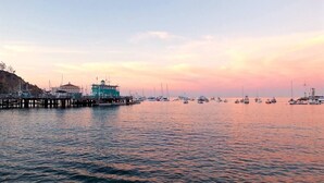 Ein Yachthafen an der Uferpromenade mit vertäuten Booten, einer anlegenden Pier und einem Gebäude mit Gründach.